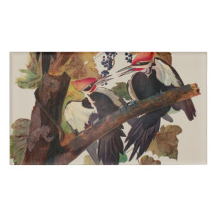 Audubon Pileated Woodpecker Bird Painting Name Tag