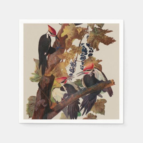 Audubon Pileated Woodpecker Bird Painting Napkins