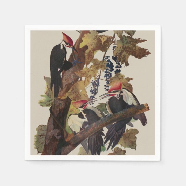 Audubon Pileated Woodpecker Bird Painting Napkins (Front)