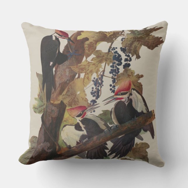 Audubon Pileated Woodpecker Bird Painting Outdoor Pillow (Front)