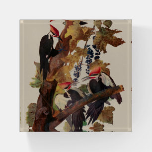 Audubon Pileated Woodpecker Bird Painting Paperweight