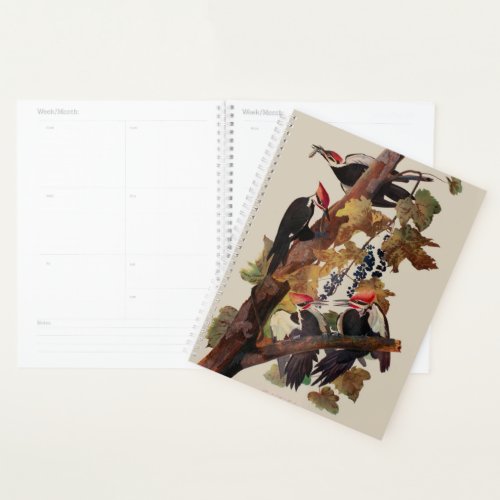 Audubon Pileated Woodpecker Bird Painting Planner