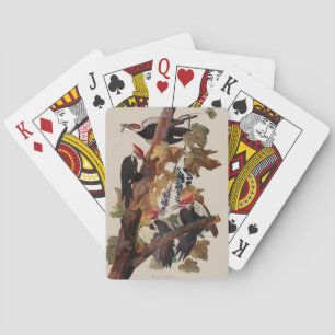 Audubon Pileated Woodpecker Bird Painting Poker Cards