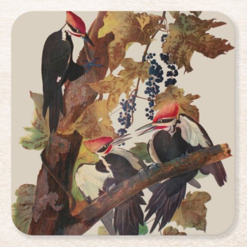 Audubon Pileated Woodpecker Bird Painting Square Paper Coaster