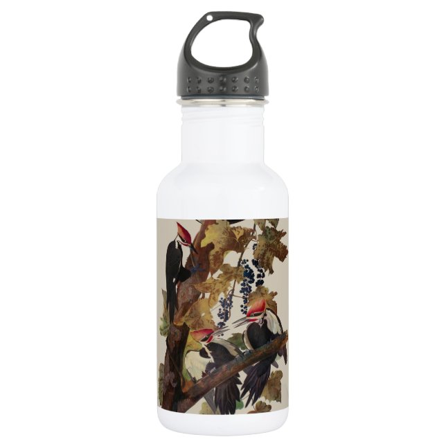 Audubon Pileated Woodpecker Bird Painting Stainless Steel Water Bottle (Front)