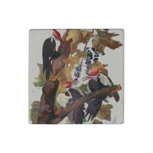 Audubon Pileated Woodpecker Bird Painting Stone Magnet