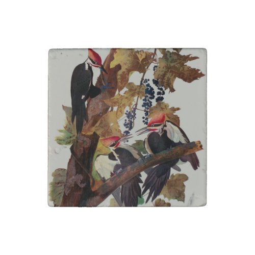 Audubon Pileated Woodpecker Bird Painting Stone Magnet