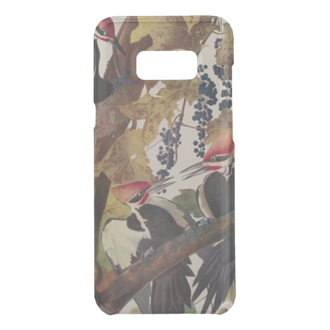 Audubon Pileated Woodpecker Bird Painting Uncommon Samsung Galaxy Case (Back)