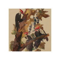 Audubon Pileated Woodpecker Bird Painting