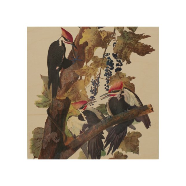 Audubon Pileated Woodpecker Bird Painting Wood Wall Art (Front)