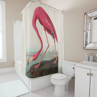 Audubon Pink American Flamingo, Plate CCCCXXXI Shower Curtain
