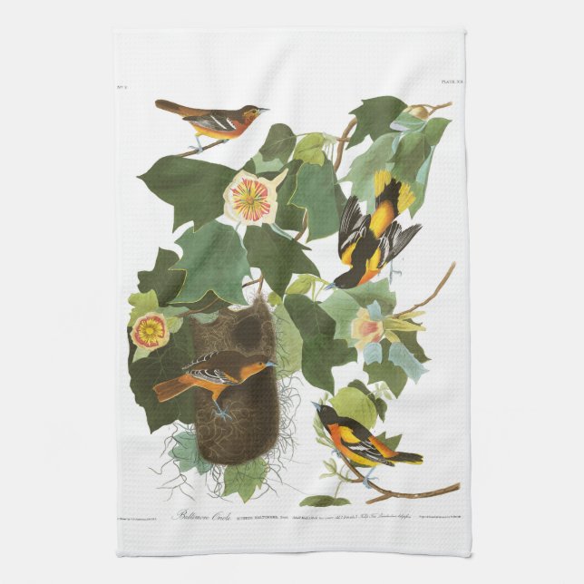 Audubon Plate 12 Baltimore Oriole Towel (Vertical)