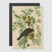 Audubon Purple Grackle Bird Print Vintage Botanic (Front/Back)