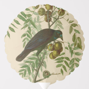 Audubon Purple Grackle Bird Print Vintage Botanic Balloon