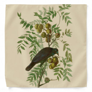Audubon Purple Grackle Bird Print Vintage Botanic Bandana