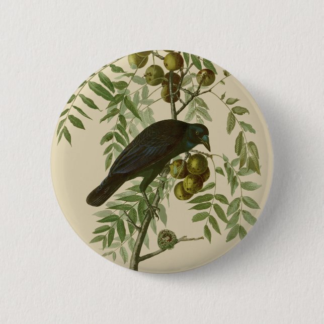 Audubon Purple Grackle Bird Print Vintage Botanic Button (Front)