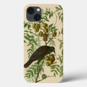 Audubon Purple Grackle Bird Print Vintage Botanic iPhone 13 Case