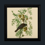 Audubon Purple Grackle Bird Print Vintage Botanic Gift Box<br><div class="desc">Bring the stately elegance of classic American natural history into your home with this beautiful reproduction of John James Audubon's "Purple Grackle" (Plate 7) from his seminal 19th-century work, The Birds of America. This exquisite illustration showcases a glossy blackbird with shimmering iridescent blue and green plumage, perched gracefully among the...</div>
