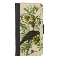 Audubon Purple Grackle Bird Print Vintage Botanic