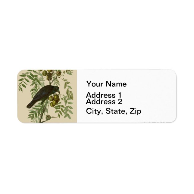 Audubon Purple Grackle Bird Print Vintage Botanic Label (Front)