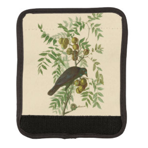 Audubon Purple Grackle Bird Print Vintage Botanic Luggage Handle Wrap