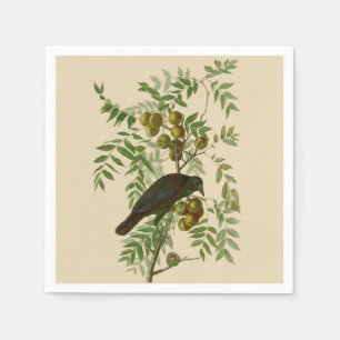 Audubon Purple Grackle Bird Print Vintage Botanic Napkins