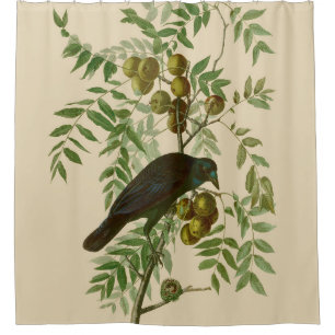 Audubon Purple Grackle Bird Print Vintage Botanic Shower Curtain