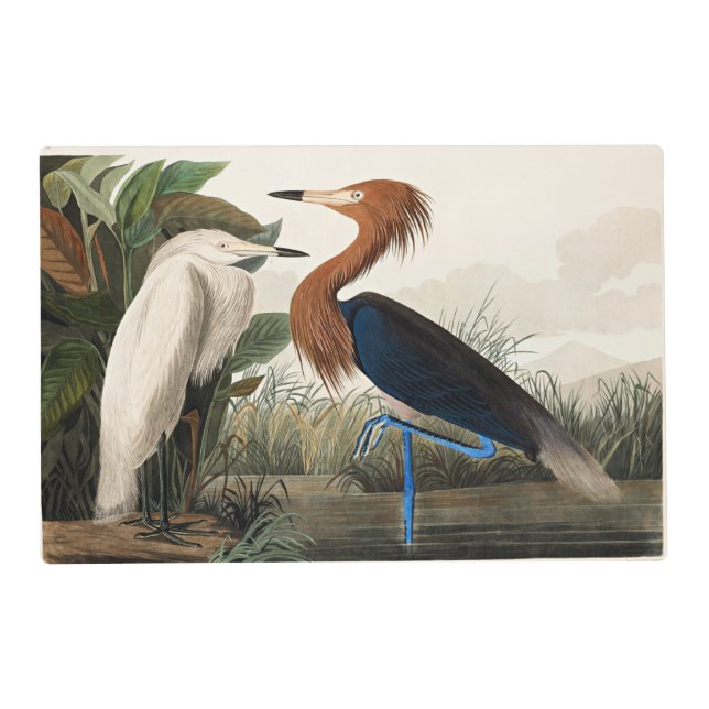 Audubon - Purple Heron Placemat (Front)