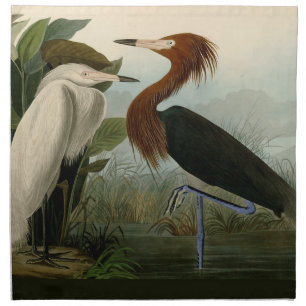 Audubon Purple Heron Reddish Egret Print: Bird Art Cloth Napkin