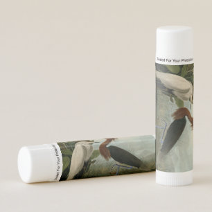 Audubon Purple Heron Reddish Egret Print: Bird Art Lip Balm