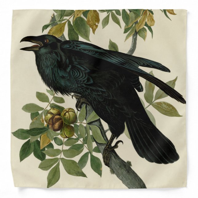 Audubon Raven Bird Classic Artwork Bandana (Front)