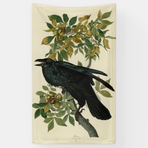 Audubon Raven Bird Classic Artwork Banner