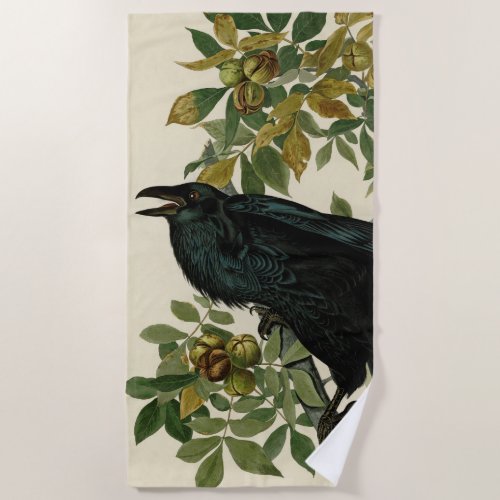 Audubon Raven Bird Classic Artwork Beach Towel
