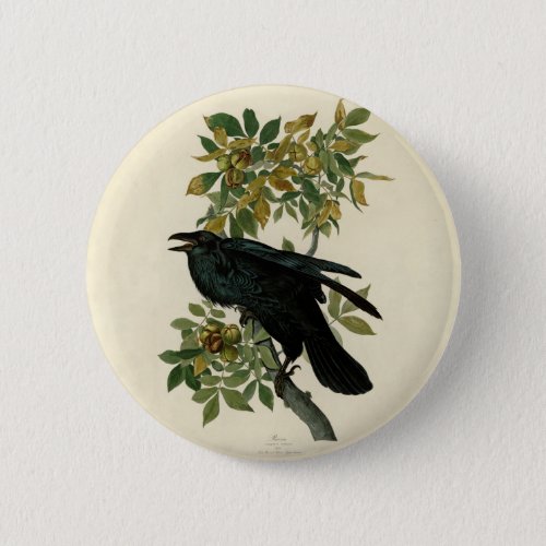 Audubon Raven Bird Classic Artwork Button