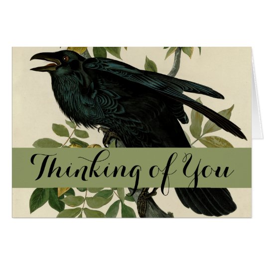 Audubon Raven Bird Classic Artwork Cards (Front Horizontal)