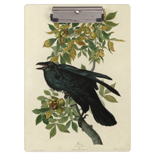 Audubon Raven Bird Classic Artwork Clipboard