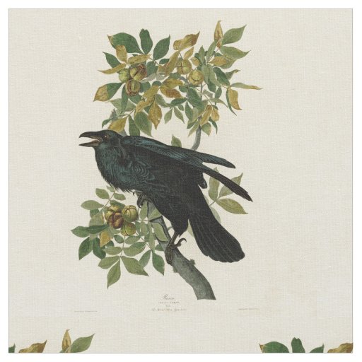 Audubon Raven Bird Classic Artwork Fabric