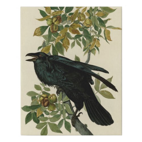 Audubon Raven Bird Classic Artwork Faux Canvas Print