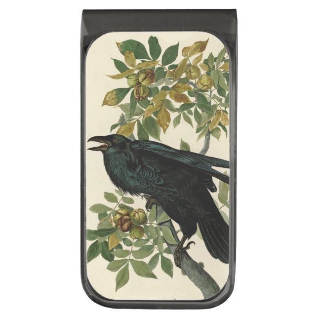 Audubon Raven Bird Classic Artwork Gunmetal Finish Money Clip (Front Vertical)