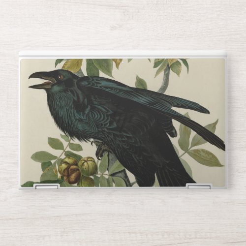 Audubon Raven Bird Classic Artwork HP Laptop Skin