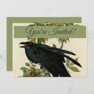 Audubon Raven Bird Classic Artwork Invitation
