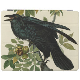 Audubon Raven Bird Classic Artwork iPad Smart Cover