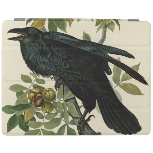Audubon Raven Bird Classic Artwork iPad Smart Cover
