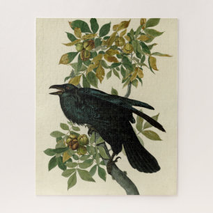 Audubon Raven Bird Classic Artwork Jigsaw Puzzle