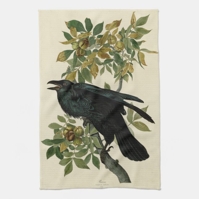 Audubon Raven Bird Classic Artwork Kitchen Towel (Vertical)