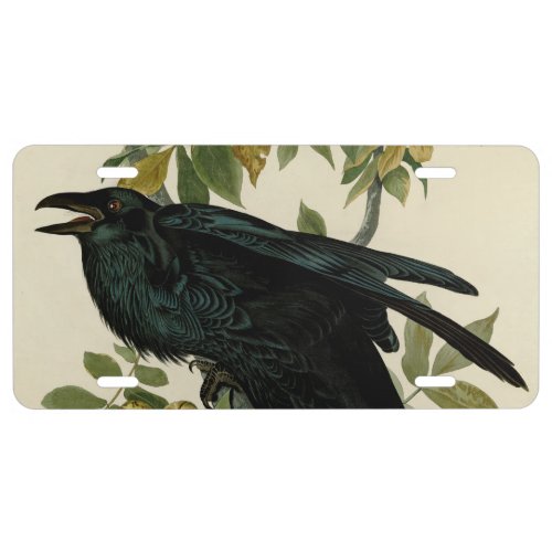 Audubon Raven Bird Classic Artwork License Plate
