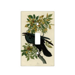 Audubon Raven Bird Classic Artwork Light Switch Cover