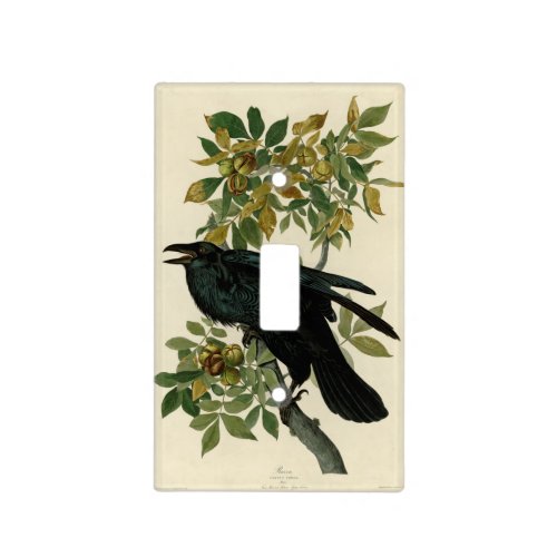 Audubon Raven Bird Classic Artwork Light Switch Cover