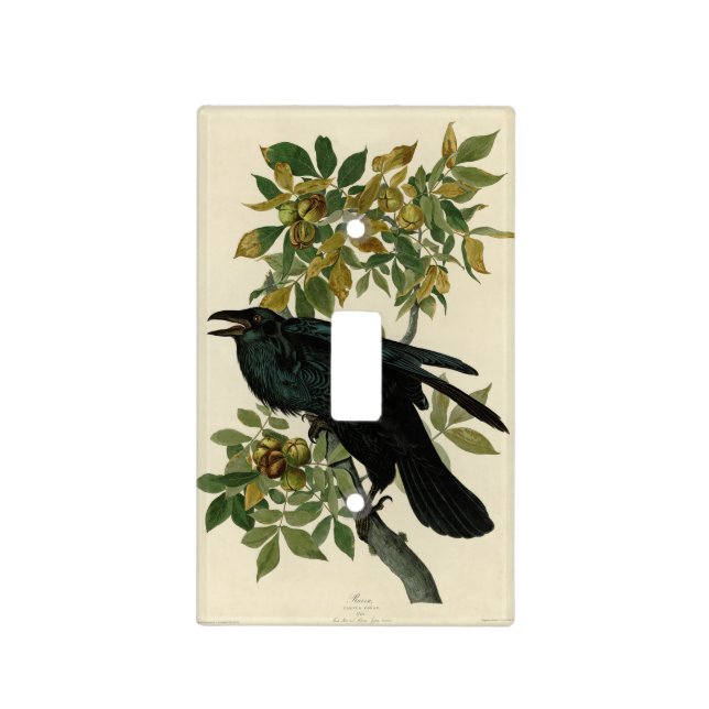 Audubon Raven Bird Classic Artwork Light Switch Cover (Front)