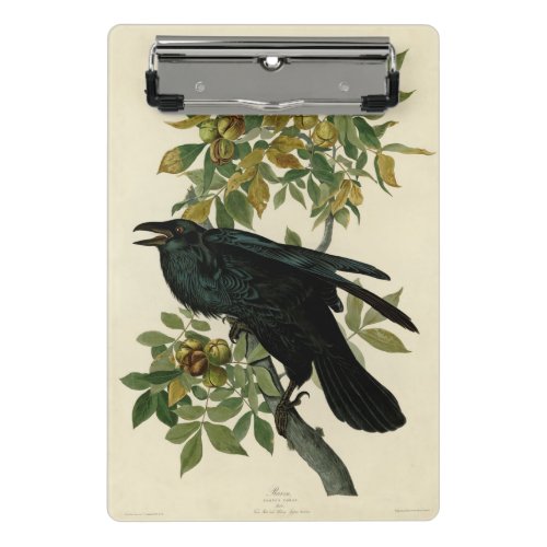 Audubon Raven Bird Classic Artwork Mini Clipboard
